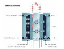 纯电与燃料电池 中国工程院院士眼中的非对立协同路径